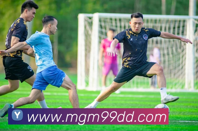 美高梅官网发展历程
